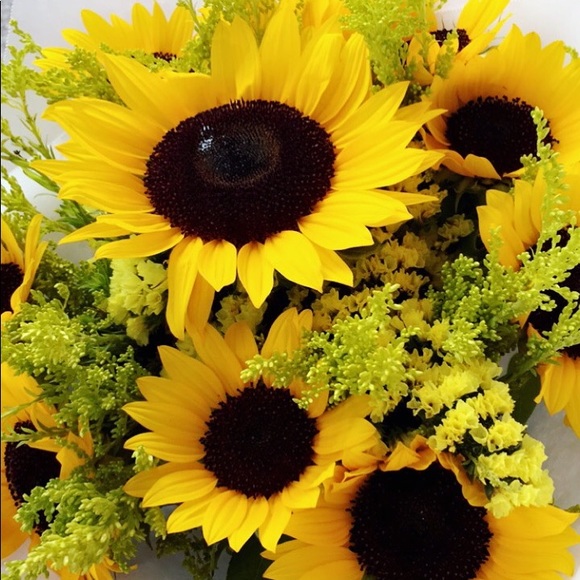 Meet your Posher, Shelby - Picture 2 of 2